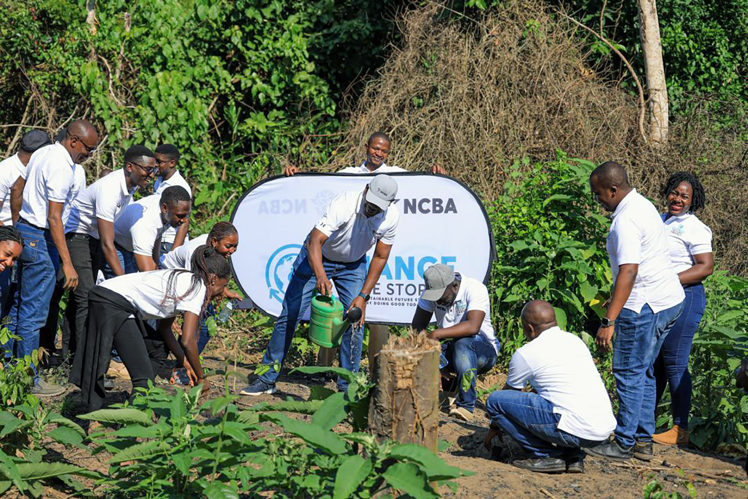 NCBA Bank commits millions to central forests restoration