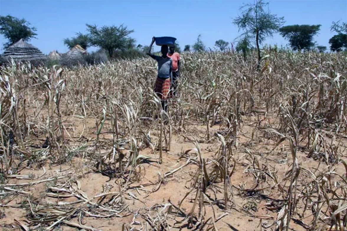 Activists applaud UGX 516 Bn climate allocation